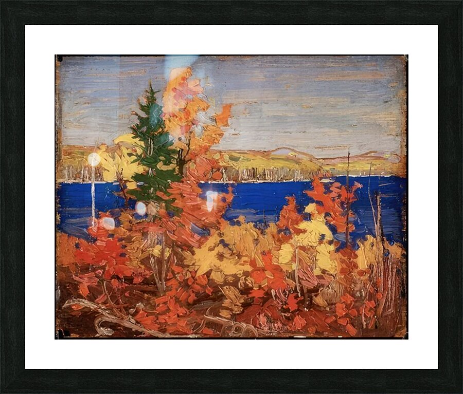 Tom Thomson 20 Picture Frame print