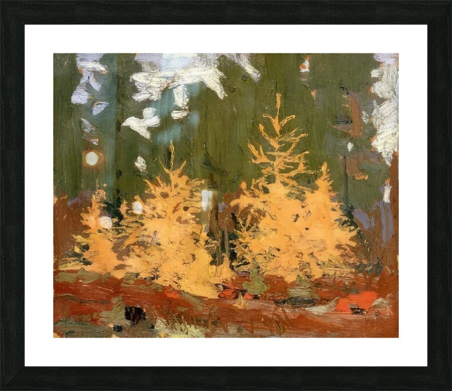 Tom Thomson 41 Picture Frame print