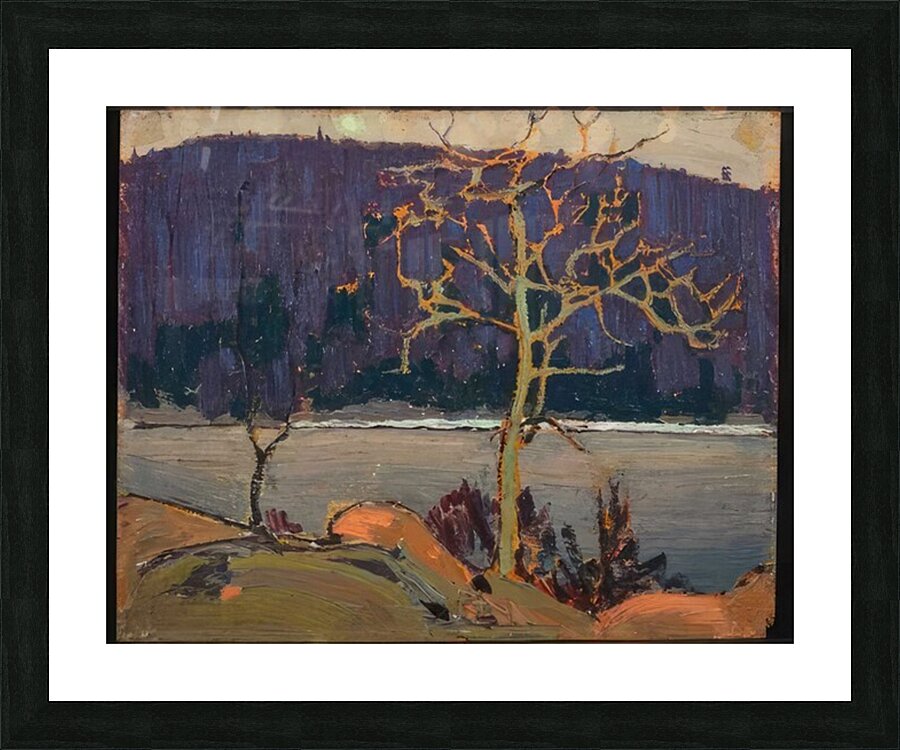 Tom Thomson 45 Picture Frame print