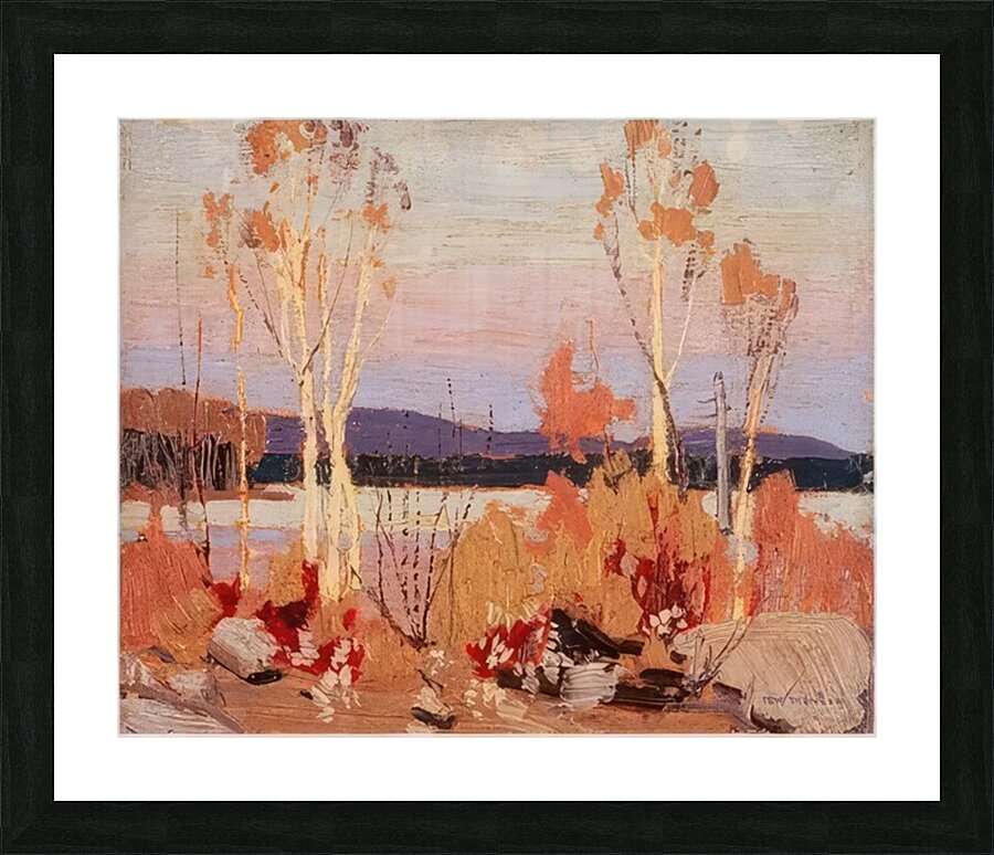 Tom Thomson 49 Picture Frame print