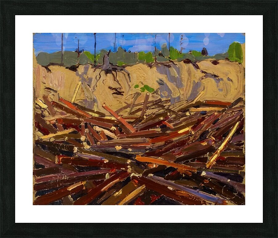 Tom Thomson 50 Picture Frame print