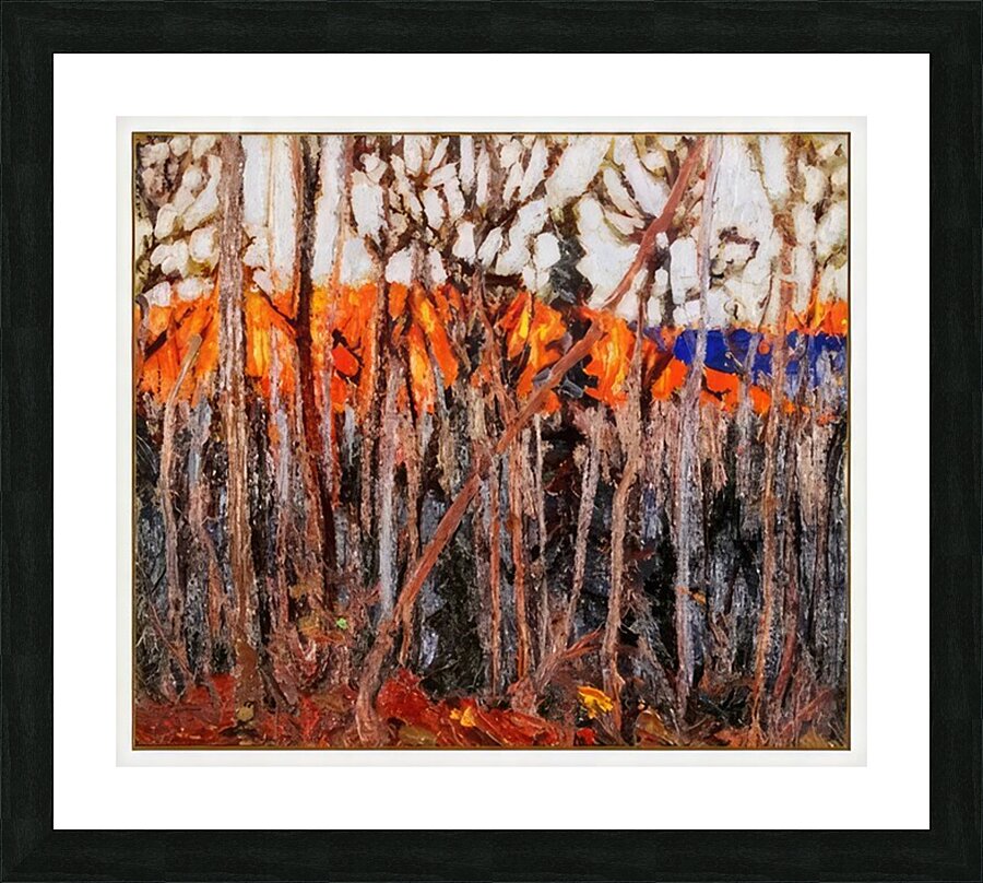 Tom Thomson 69 Picture Frame print