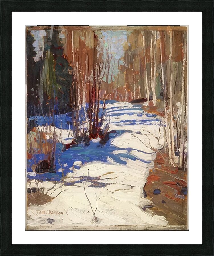 Tom Thomson 70 Picture Frame print