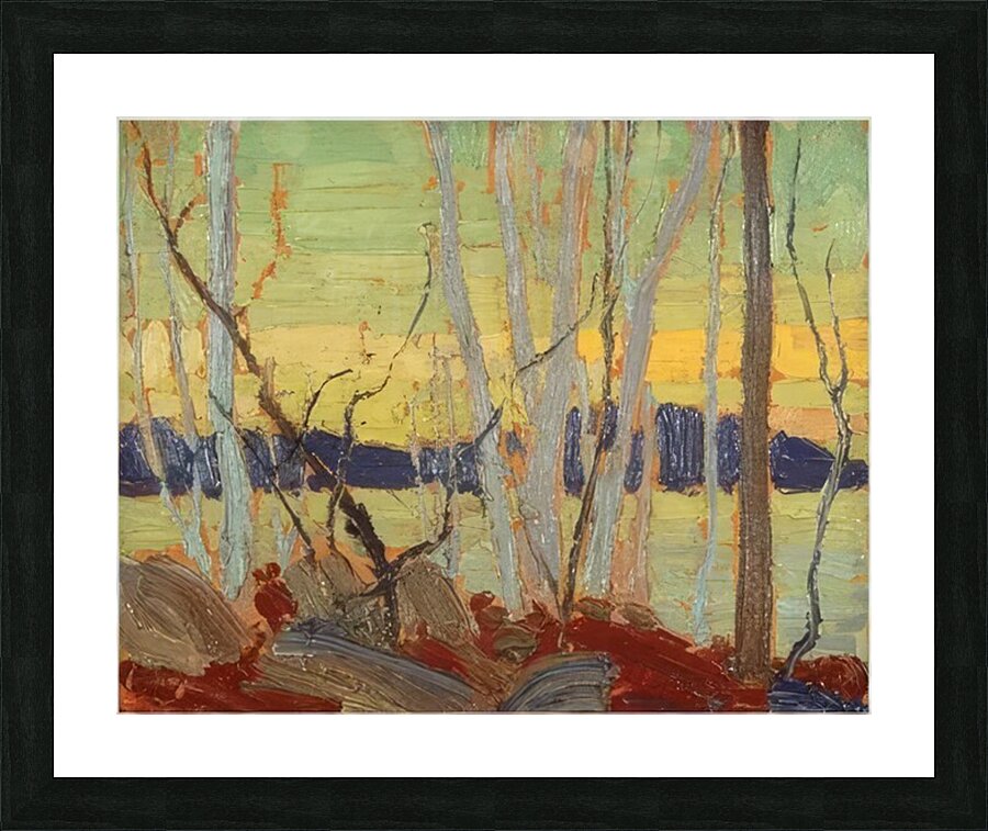 Tom Thomson 7 Picture Frame print
