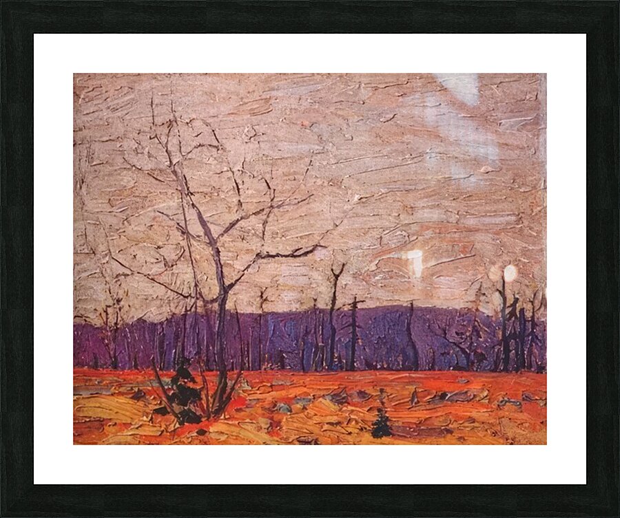 Tom Thomson 10 Picture Frame print