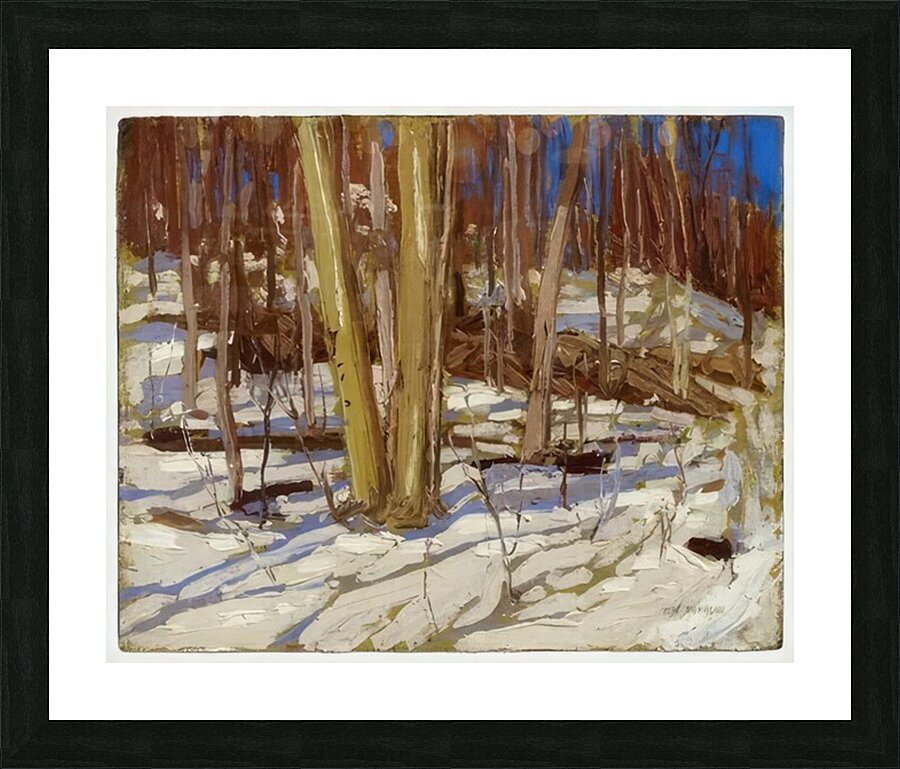 Tom Thomson 12 Picture Frame print