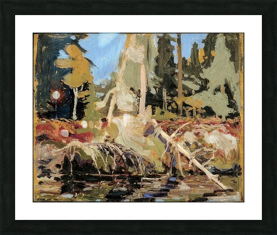 Tom Thomson 20 Picture Frame print