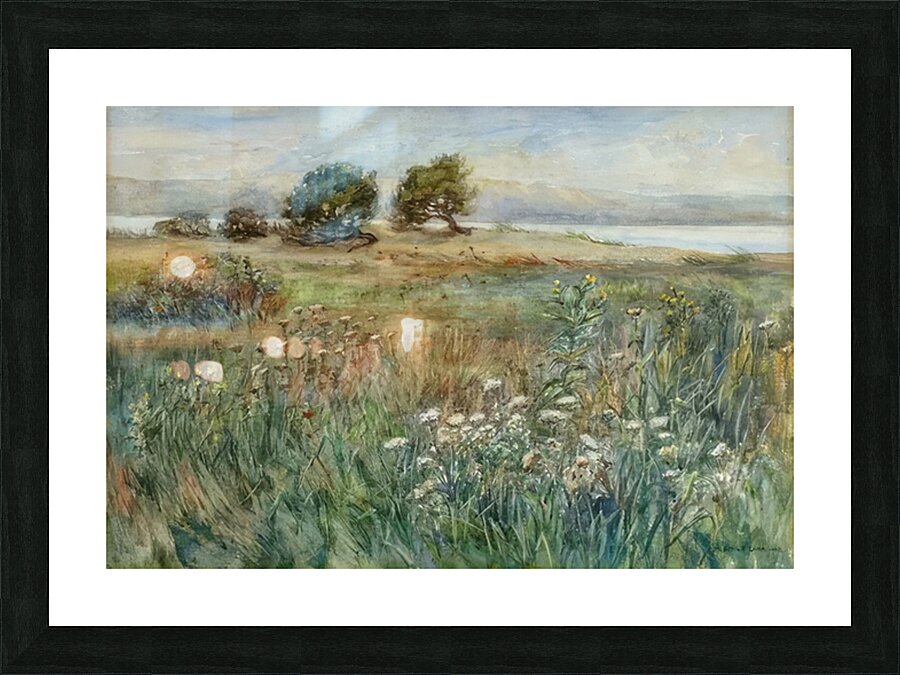 Emily Carr 35 Picture Frame print