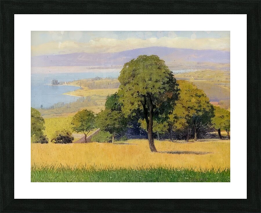 Félix Thiollier 2 Picture Frame print