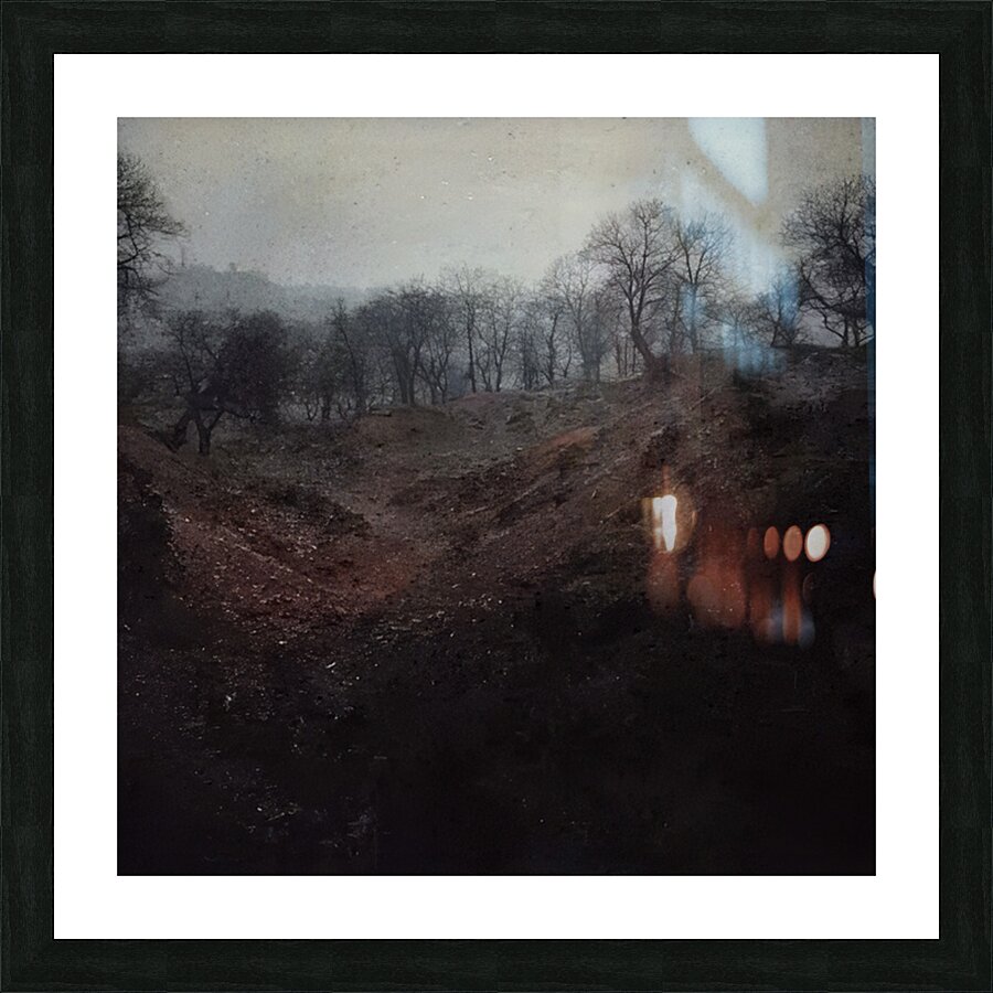 Félix Thiollier 5 Picture Frame print