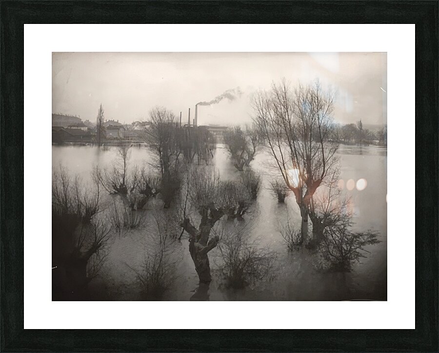 Félix Thiollier 18 Picture Frame print