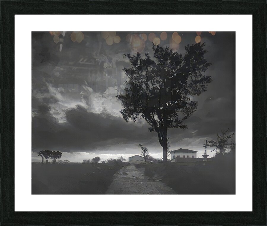 Félix Thiollier 19 Picture Frame print