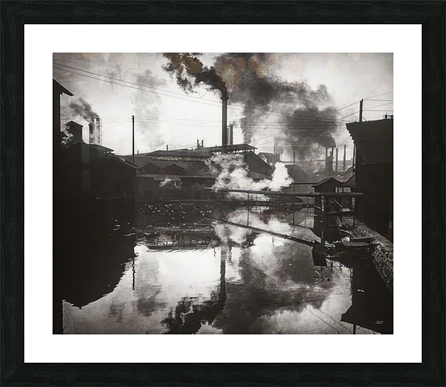 Félix Thiollier 20 Picture Frame print