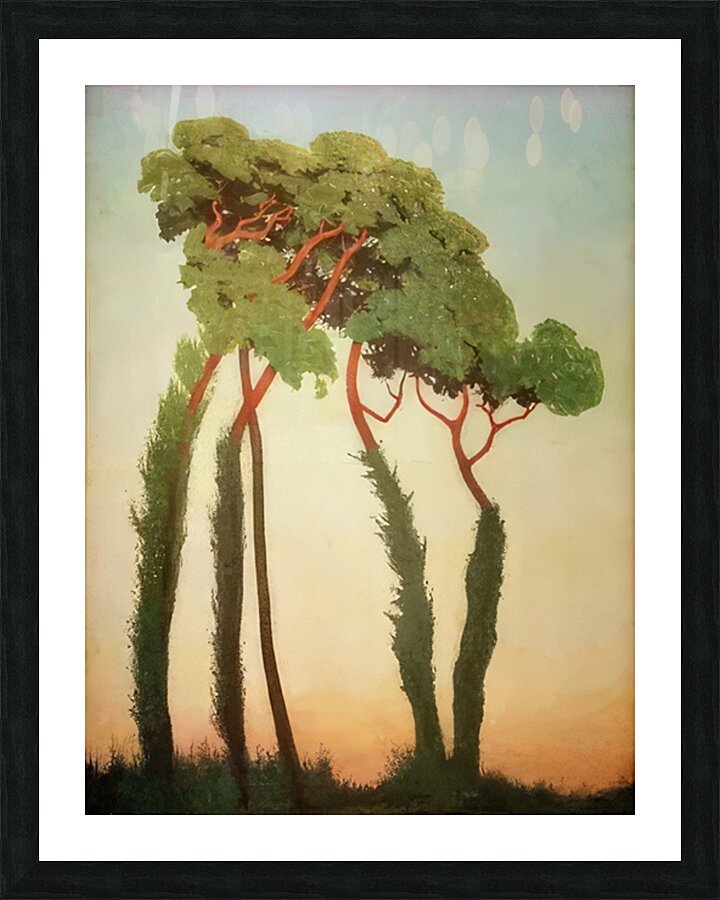 Félix Thiollier 28 Picture Frame print