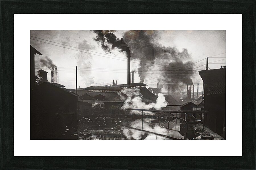 Félix Thiollier 29 Picture Frame print