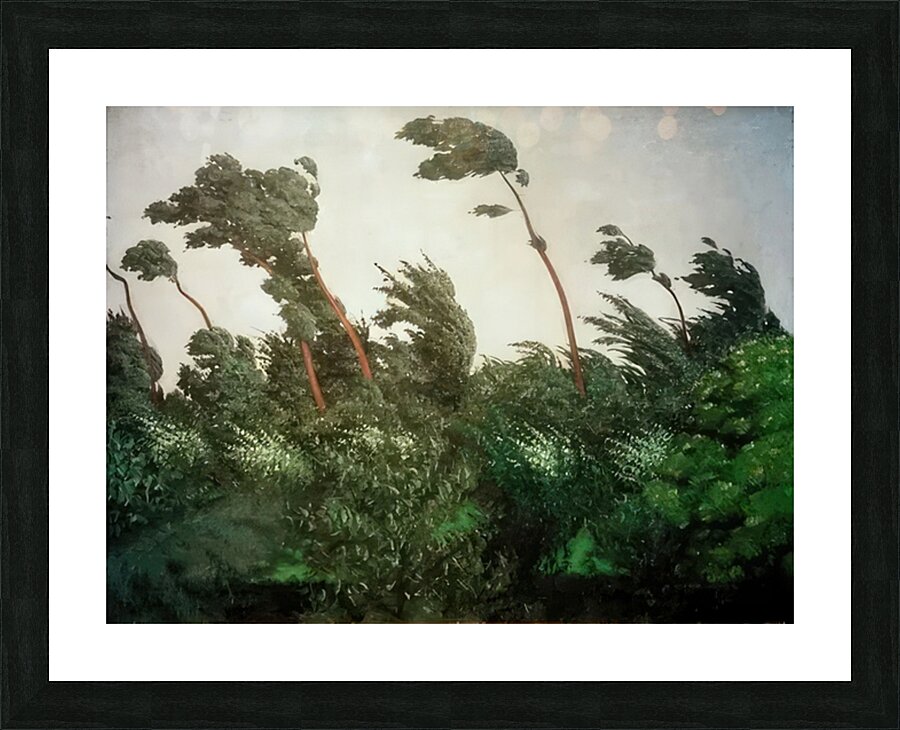 Félix Thiollier 31 Picture Frame print