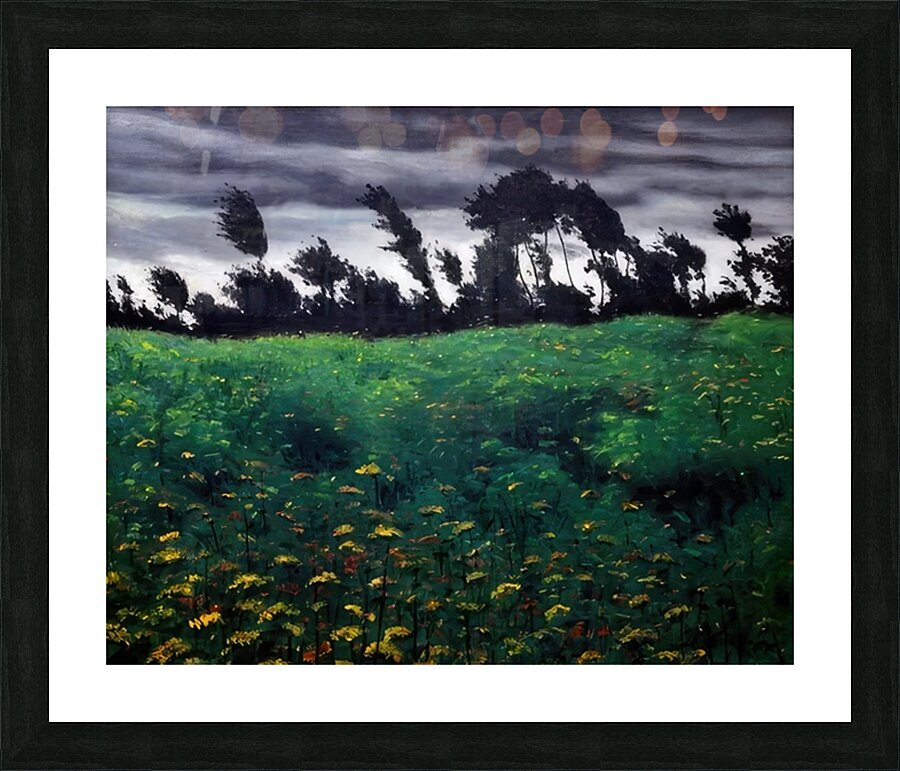 Félix Thiollier 32 Picture Frame print