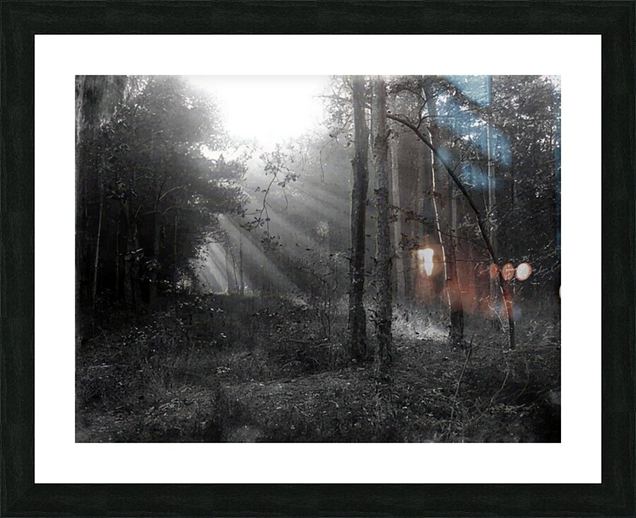 Félix Thiollier 40 Picture Frame print