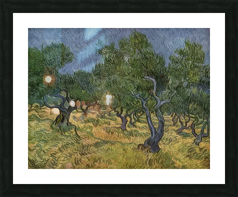 Vincent van Gogh 29 Picture Frame print