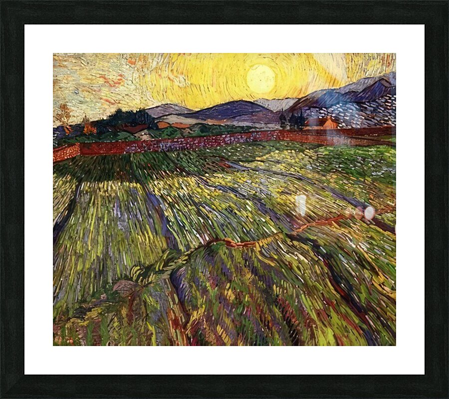 Vincent van Gogh 51 Picture Frame print