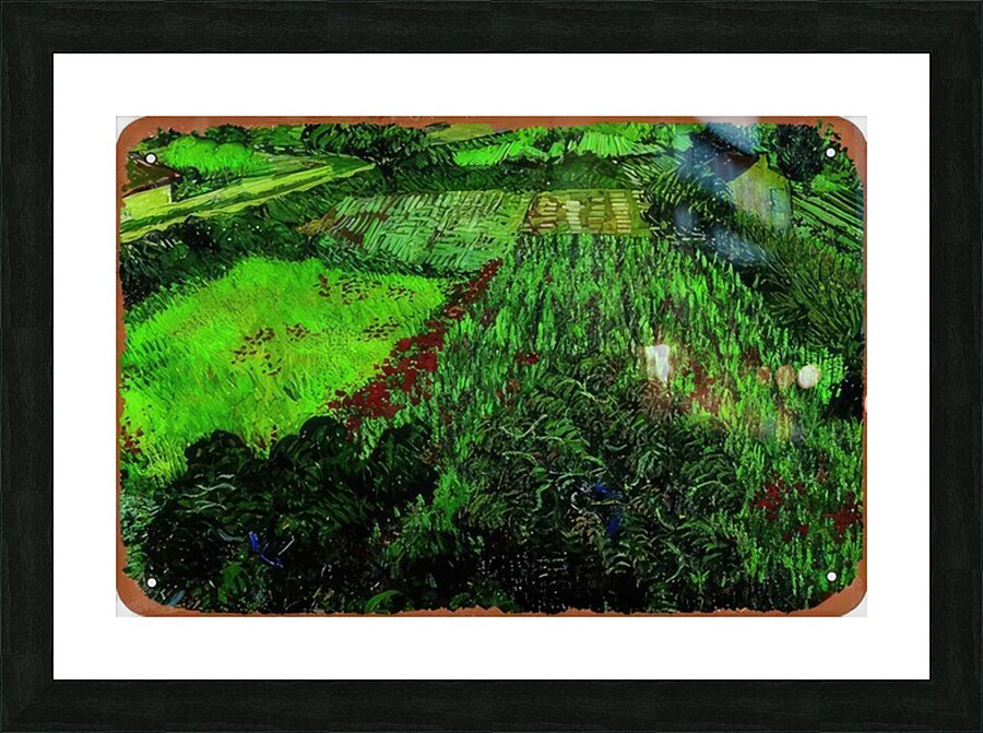 Vincent van Gogh 32 Picture Frame print