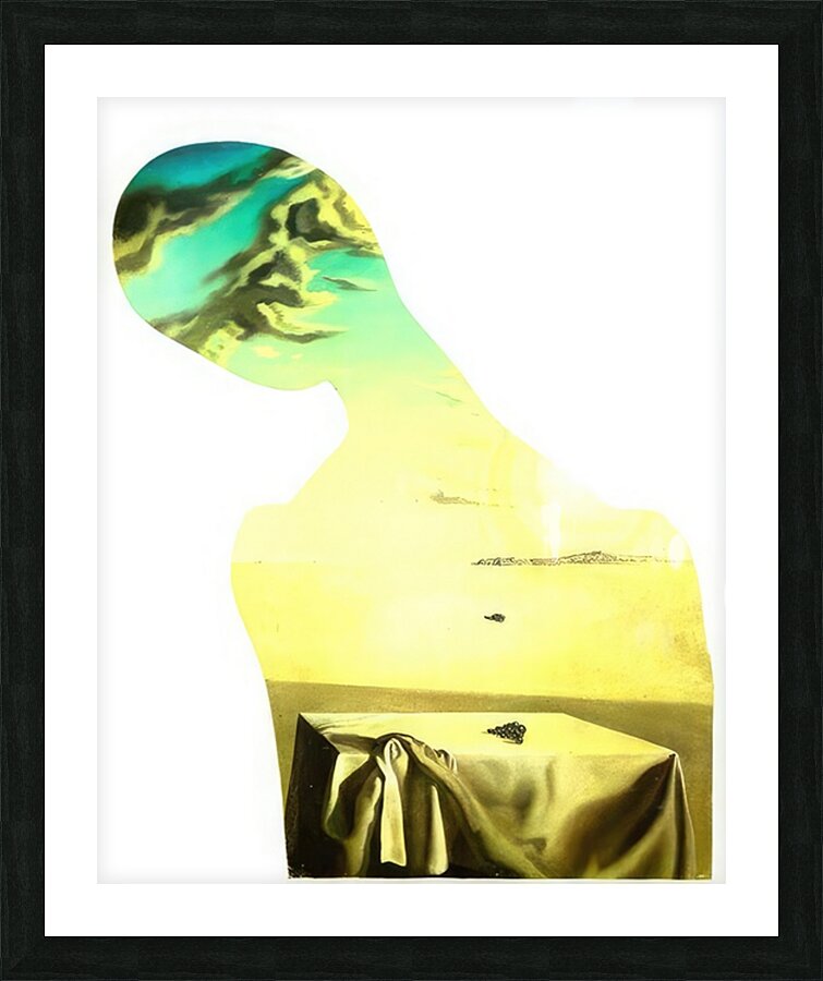 Salvador Dalí 3 Picture Frame print