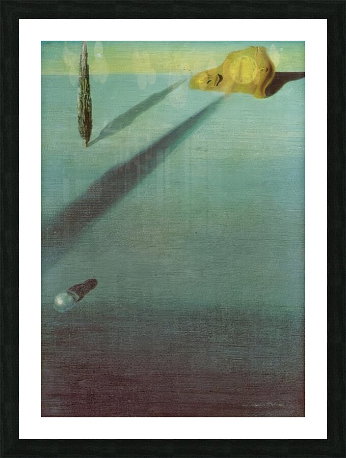 Salvador Dalí 9 Picture Frame print