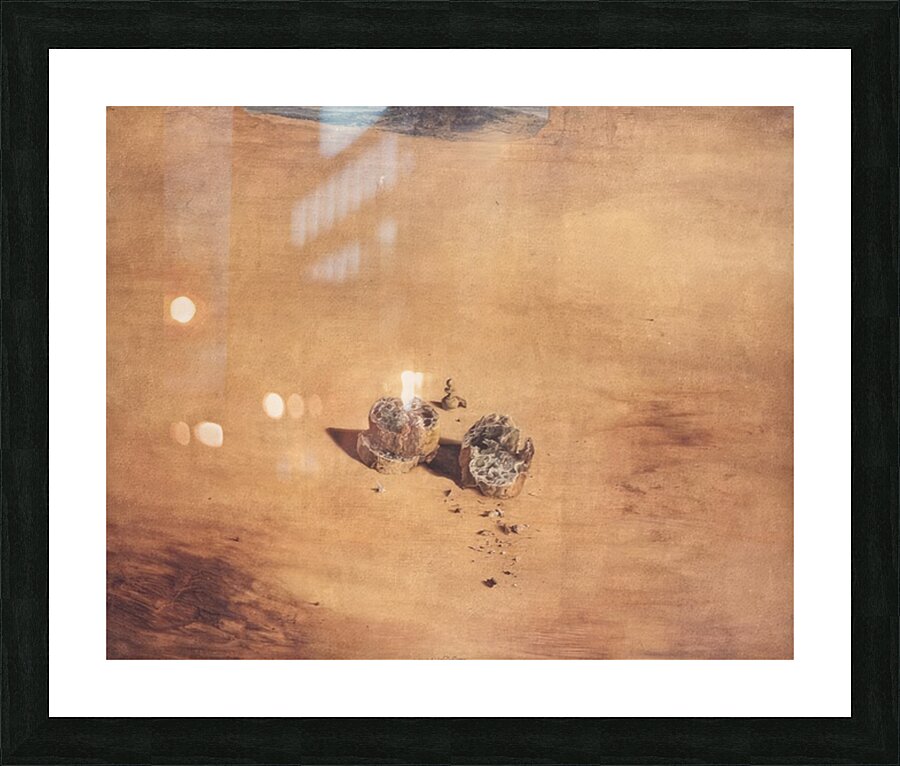 Salvador Dalí 11 Picture Frame print