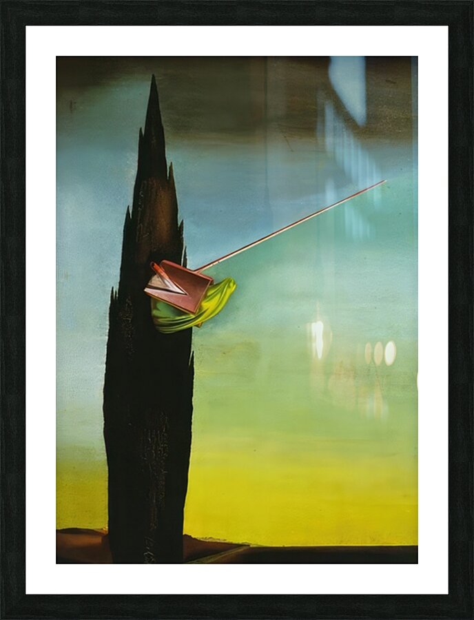 Salvador Dalí 30 Picture Frame print