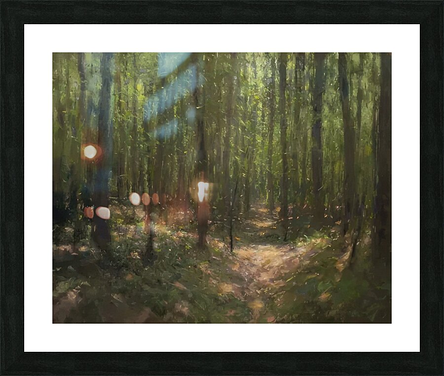 Manly Edward MacDonald   19 Picture Frame print