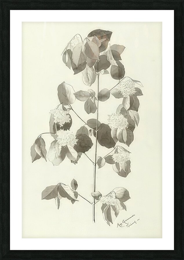 Augusto Giacometti 5 Picture Frame print