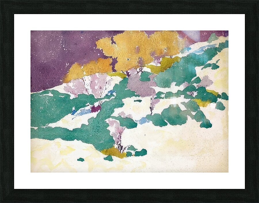 Augusto Giacometti 21 Picture Frame print