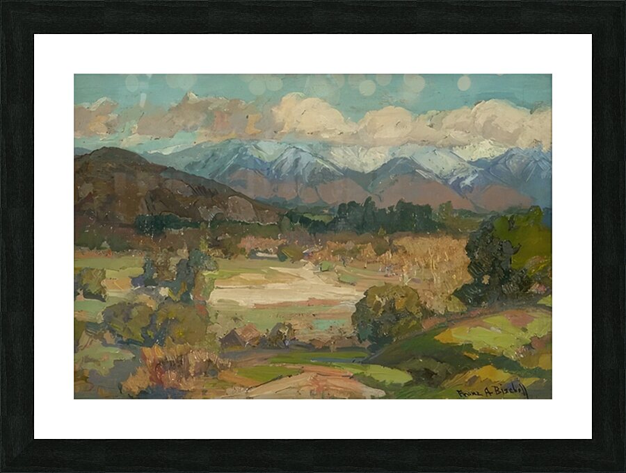Franz Bischoff 1 Picture Frame print