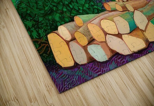 David Hockney  AmericanPainters puzzle