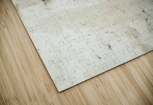 Andrew Wyeth AmericanPainters puzzle