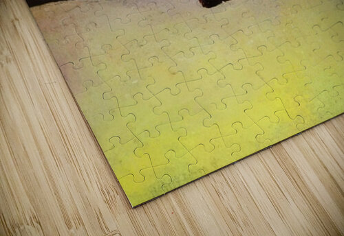 Maxfield Parrish 7 AmericanPainters puzzle