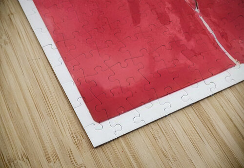 New Upload   Hilma af Klint 24 AmericanPainters puzzle