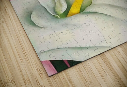 Georgia OKeeffe 25 AmericanPainters puzzle