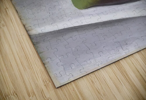 Georgia OKeeffe 32 AmericanPainters puzzle