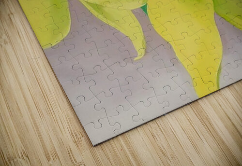 Georgia OKeeffe 45 AmericanPainters puzzle