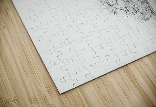 Ben Shahn 22 AmericanPainters puzzle