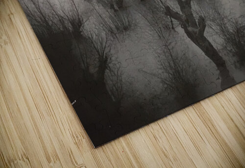 Félix Thiollier 18 AmericanPainters puzzle