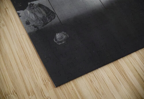 Salvador Dalí 31 AmericanPainters puzzle