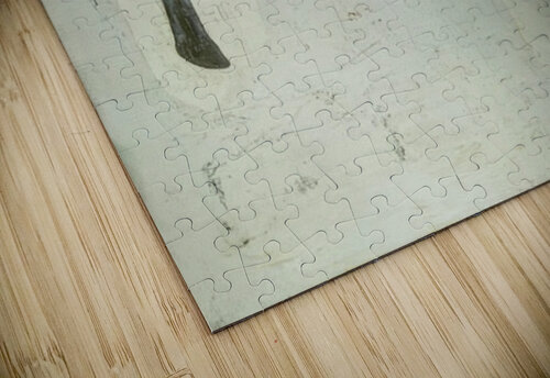 Salvador Dalí 49 AmericanPainters puzzle