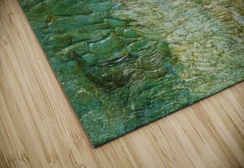 Salvador Dalí 54 AmericanPainters puzzle