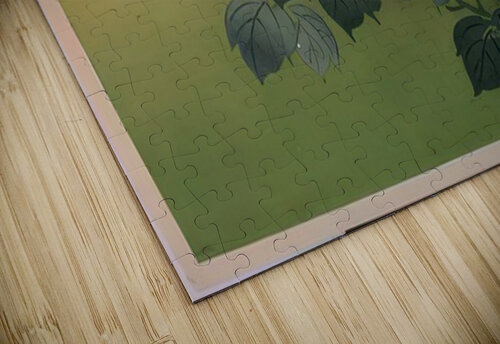 suchiya Koitsu 2 AmericanPainters puzzle