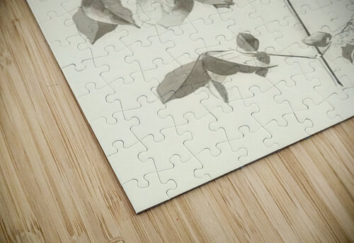 Augusto Giacometti 5 AmericanPainters puzzle