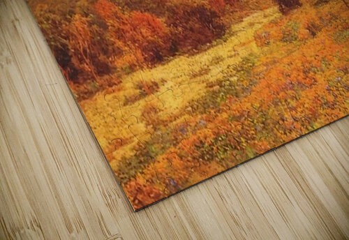 Granville Redmond 7 AmericanPainters puzzle