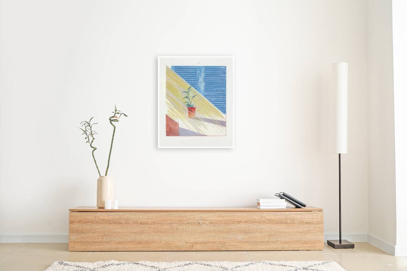 David Hockney  Reproduction