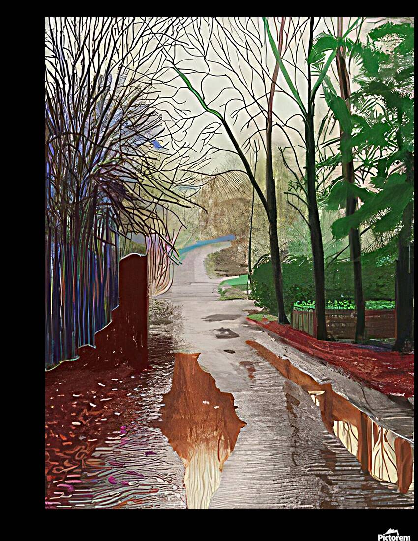 David Hockney 52 Reproduction